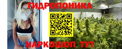 шишки Старая Купавна