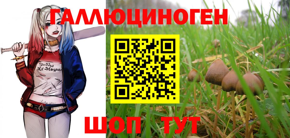 Галлюциногенные грибы Magic Shrooms Мичуринск