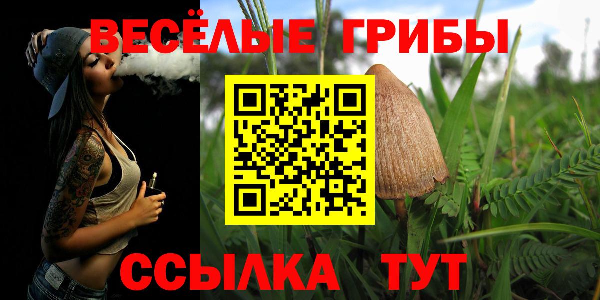 Галлюциногенные грибы GOLDEN TEACHER  Галлюциногенные грибы Magic Shrooms  Вход с VPN  Мичуринск 